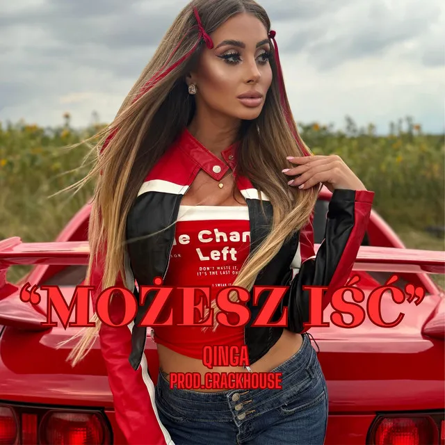 Możesz iść • Cały album • Wszystkie utwory • Wykonawca