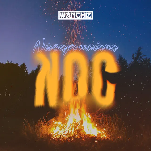 Niezapomniana Noc • Cały album • Wszystkie utwory • Wykonawca