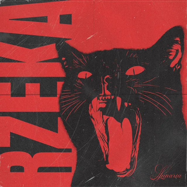 Rzeka • Cały album • Wszystkie utwory • Wykonawca