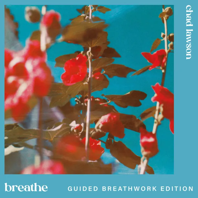 breathe (guided breathwork edition) • Cały album • Wszystkie utwory • Wykonawca