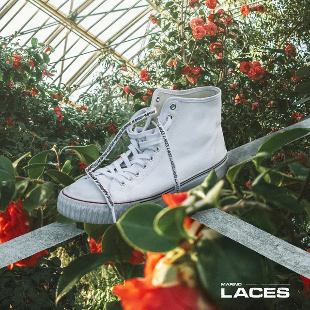 Laces • Cały album • Wszystkie utwory • Wykonawca