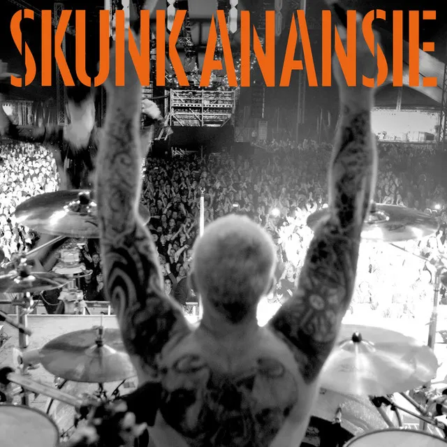 Charlie Big Potato • Cały album • Wszystkie utwory • Wykonawca