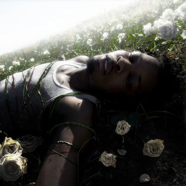 D4vd • Dyskografia • Życiorys • Utwory