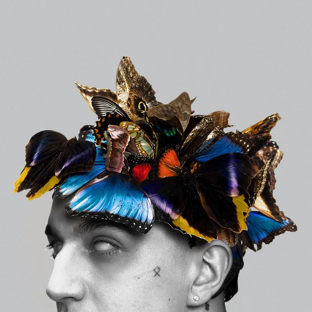 PUŁAPKA NA MOTYLE (DELUXE EDITION) • Cały album • Wszystkie utwory • Wykonawca