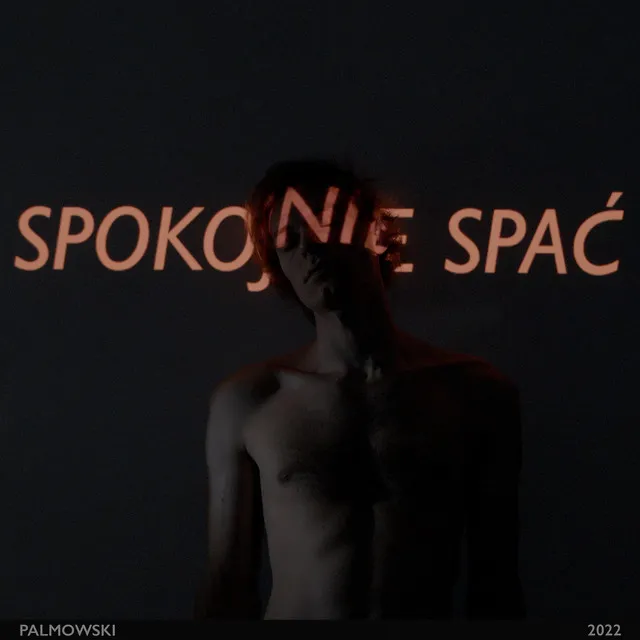 spokojnie spać • Cały album • Wszystkie utwory • Wykonawca