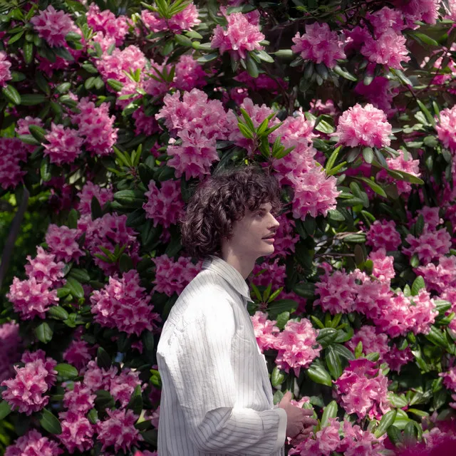 miejsce dla 2 • Cały album • Wszystkie utwory • Wykonawca