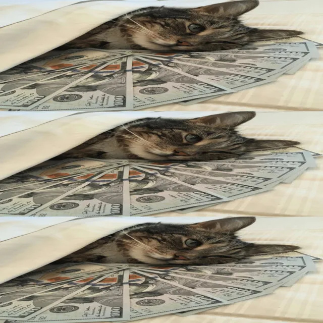 mam troche mamony • Cały album • Wszystkie utwory • Wykonawca