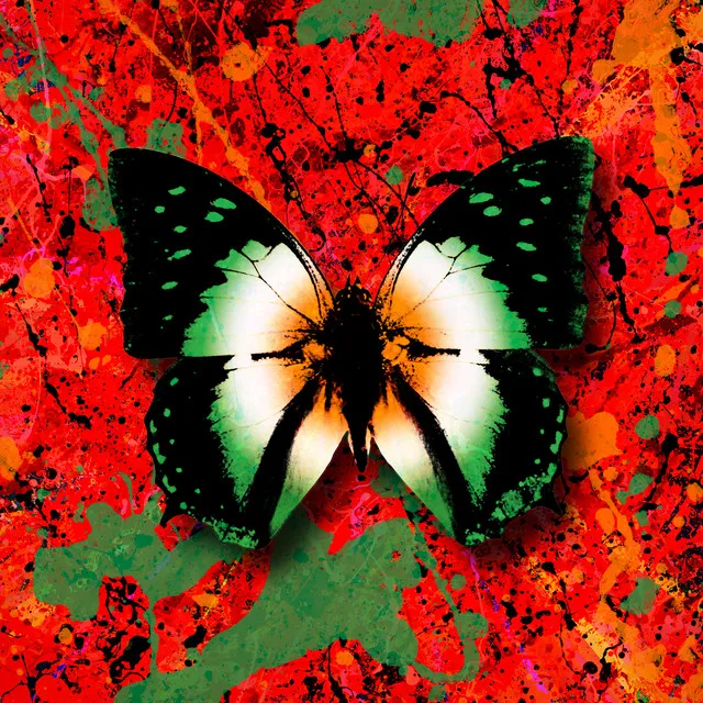 2step (feat. Denise Chaila) • Cały album • Wszystkie utwory • Wykonawca