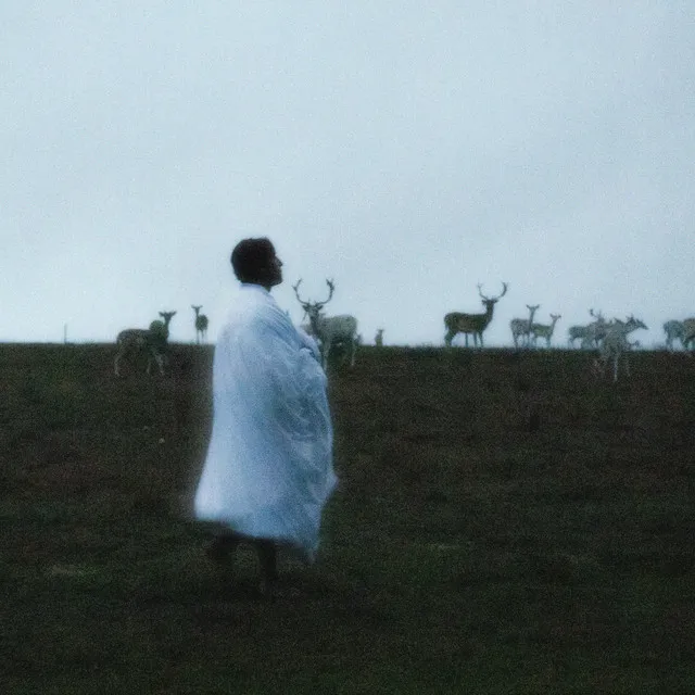 Taki jak Ty • Cały album • Wszystkie utwory • Wykonawca