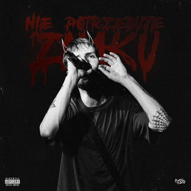 NIE POTRZEBUJE ZNAKU • Cały album • Wszystkie utwory • Wykonawca