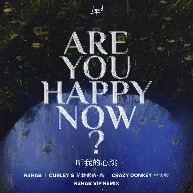 Are You Happy Now (R3HAB VIP Remix) • Cały album • Wszystkie utwory • Wykonawca