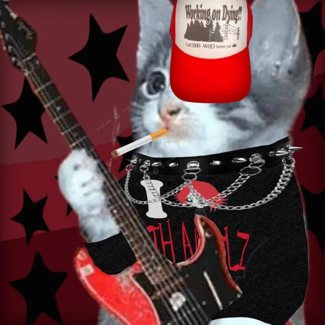 i fucking hate fiona gallagher • Cały album • Wszystkie utwory • Wykonawca