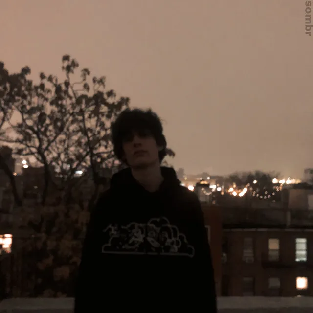 fine • Cały album • Wszystkie utwory • Wykonawca