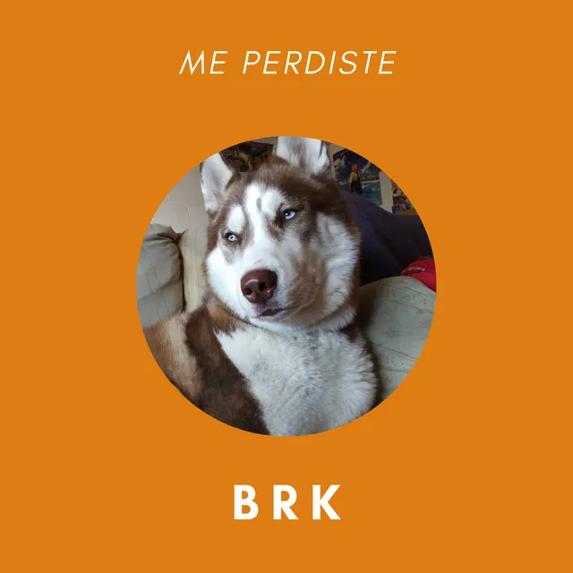 Me perdiste • Cały album • Wszystkie utwory • Wykonawca