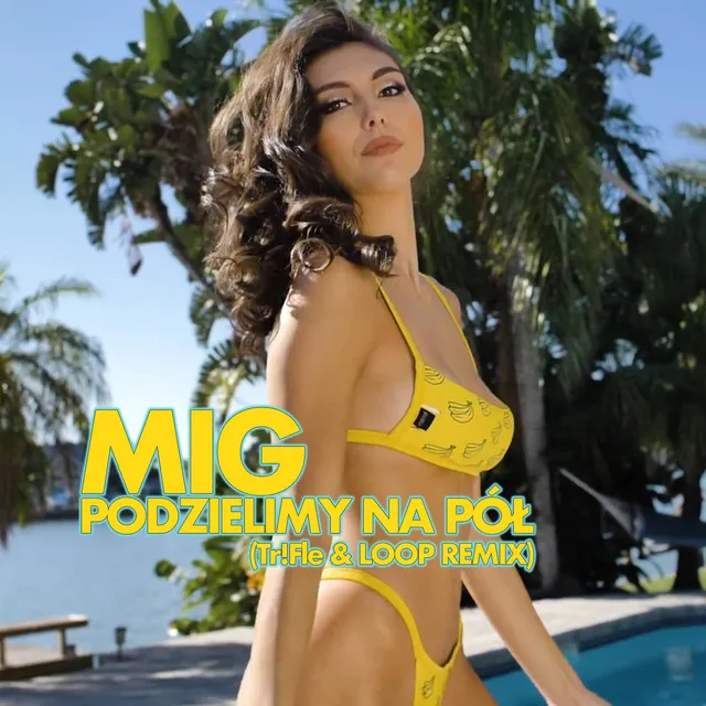 Podzielimy na pół (Tr!fle & Loop Remix) • Cały album • Wszystkie utwory • Wykonawca