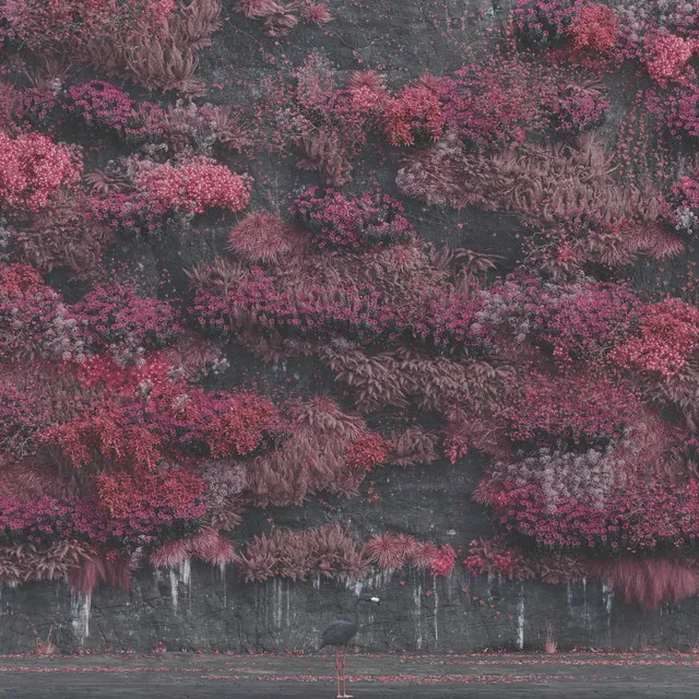 Even In Arcadia • Cały album • Wszystkie utwory • Wykonawca