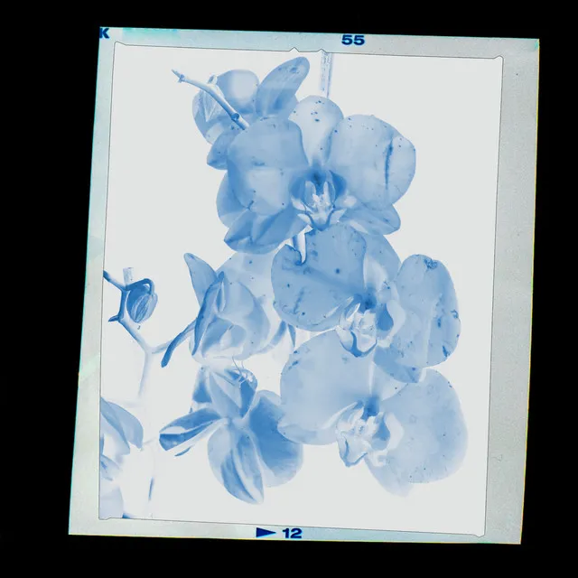 drift (ambient remixes) • Cały album • Wszystkie utwory • Wykonawca