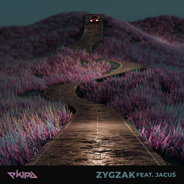 Zygzak • Cały album • Wszystkie utwory • Wykonawca