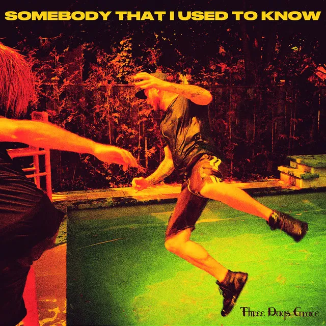 Somebody That I Used to Know • Cały album • Wszystkie utwory • Wykonawca