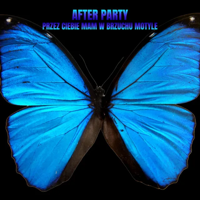 Przez ciebie mam w brzuchu motyle (Radio Edit) • Cały album • Wszystkie utwory • Wykonawca