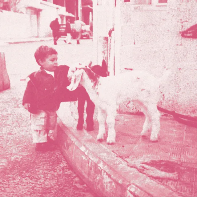 From Gaza, With Love • Cały album • Wszystkie utwory • Wykonawca