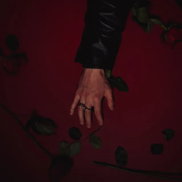 RED ROSE • Cały album • Wszystkie utwory • Wykonawca