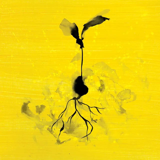 Life Goes On (feat. Luke Combs) • Cały album • Wszystkie utwory • Wykonawca