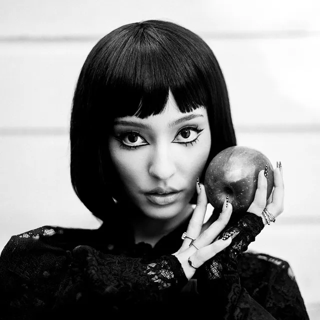 DESERT ROSE • Cały album • Wszystkie utwory • Wykonawca