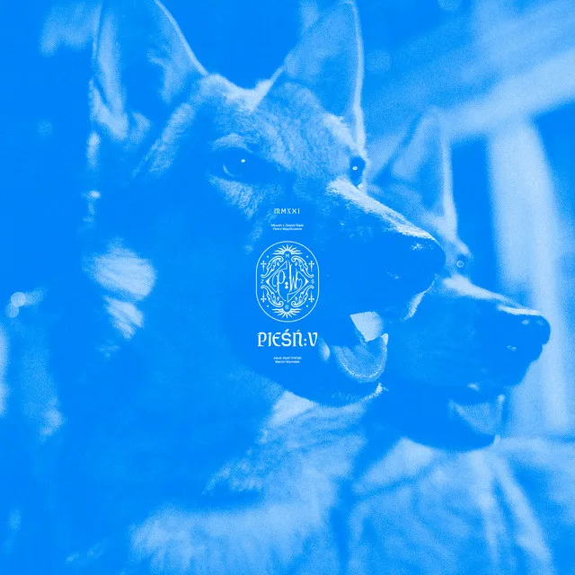 Doliny • Cały album • Wszystkie utwory • Wykonawca