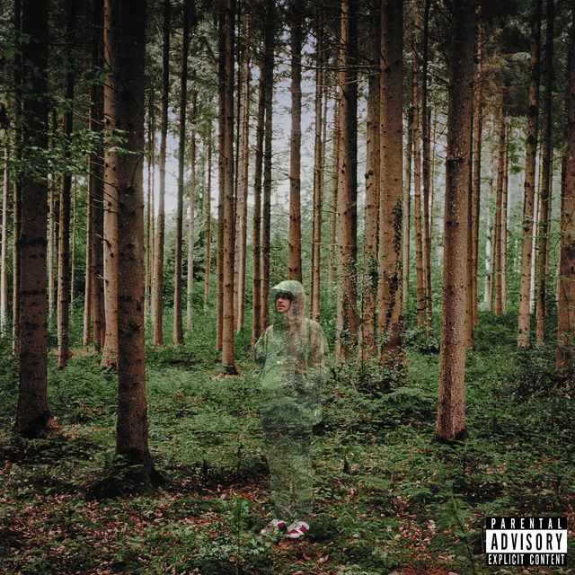 I Love You, I’m Trying • Cały album • Wszystkie utwory • Wykonawca