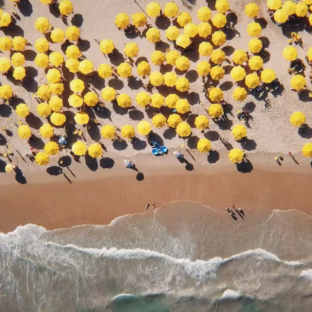 Passion Remixes • Cały album • Wszystkie utwory • Wykonawca