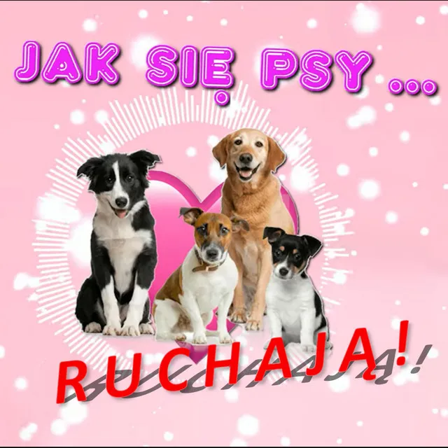 Jaki się psy ruchają • Cały album • Wszystkie utwory • Wykonawca