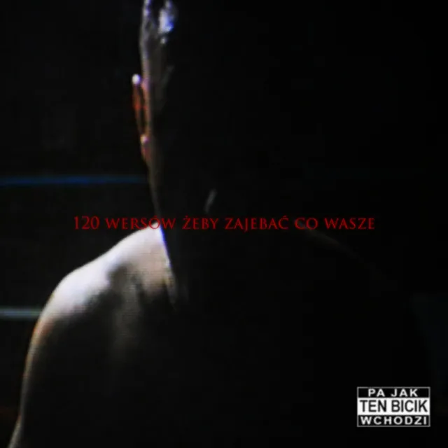120 WERSÓW ŻEBY ZAJE*AĆ CO WASZE • Cały album • Wszystkie utwory • Wykonawca