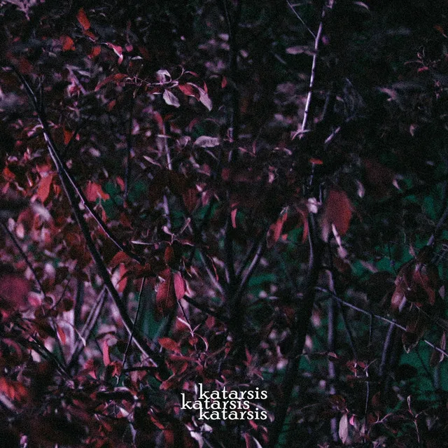 Būsi • Cały album • Wszystkie utwory • Wykonawca