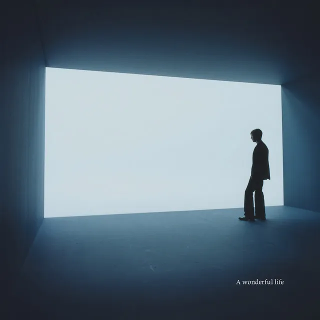 A Wonderful Life (Epilogue) • Cały album • Wszystkie utwory • Wykonawca