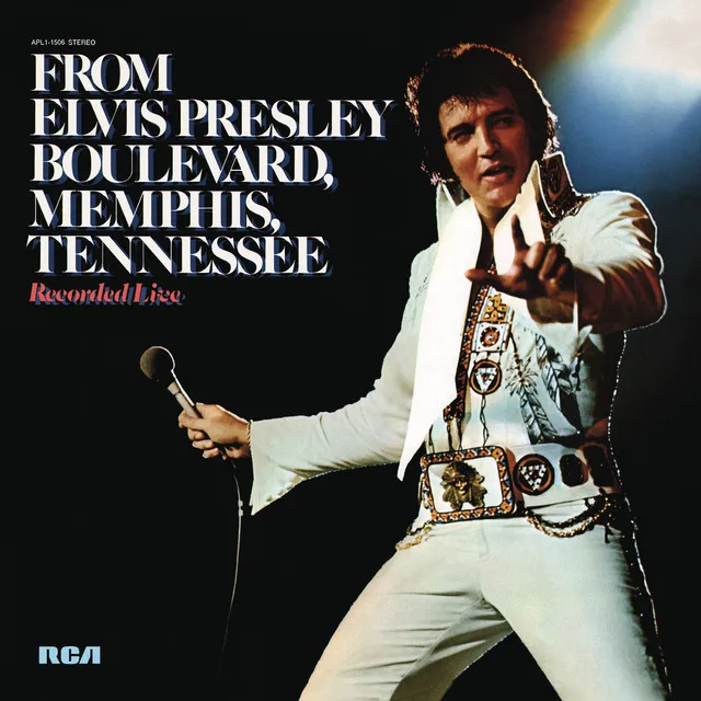 From Elvis Presley Boulevard, Memphis, Tennessee • Cały album • Wszystkie utwory • Wykonawca