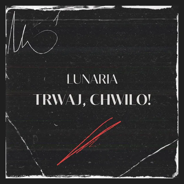 Trwaj, chwilo • Cały album • Wszystkie utwory • Wykonawca