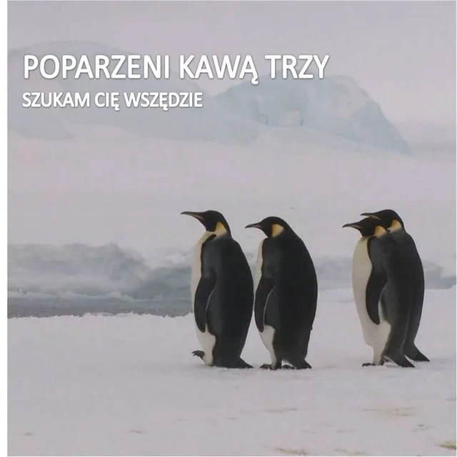 Szukam Cię Wszędzie • Cały album • Wszystkie utwory • Wykonawca