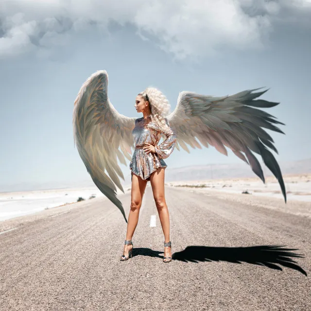 Alfabet Świateł • Cały album • Wszystkie utwory • Wykonawca