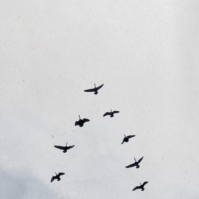 GOD/MARRIAGE • Cały album • Wszystkie utwory • Wykonawca