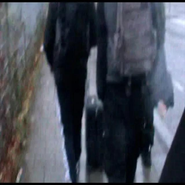 pudelek • Cały album • Wszystkie utwory • Wykonawca