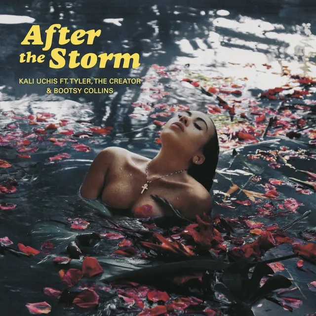 After The Storm (feat. Tyler, The Creator & Bootsy Collins) • Cały album • Wszystkie utwory • Wykonawca