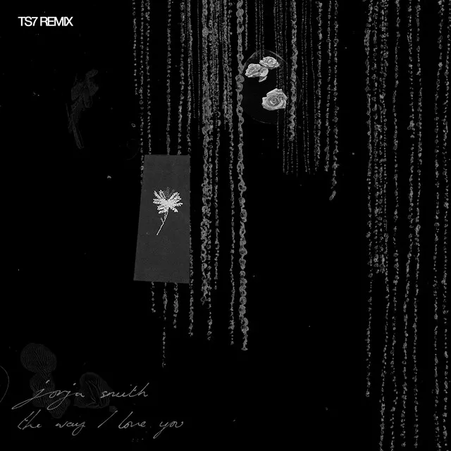 The Way I Love You (TS7 Remix) • Cały album • Wszystkie utwory • Wykonawca