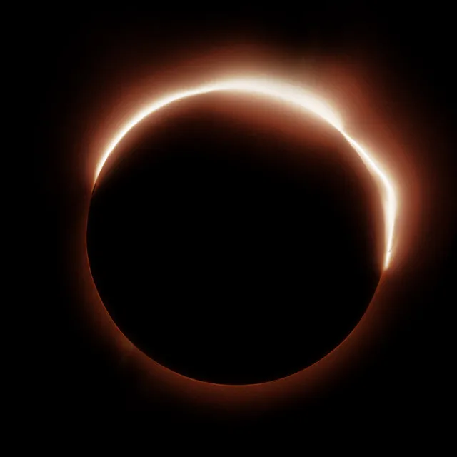 Take Me To The Sun • Cały album • Wszystkie utwory • Wykonawca