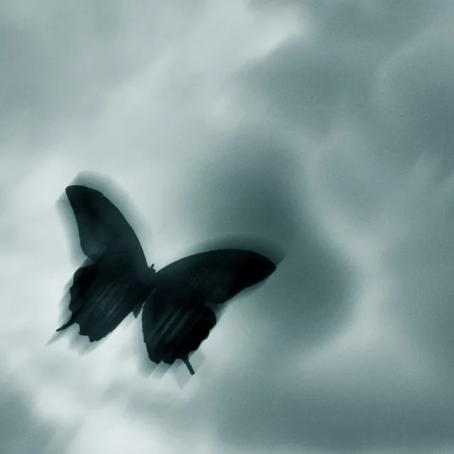 life’s a dream • Cały album • Wszystkie utwory • Wykonawca