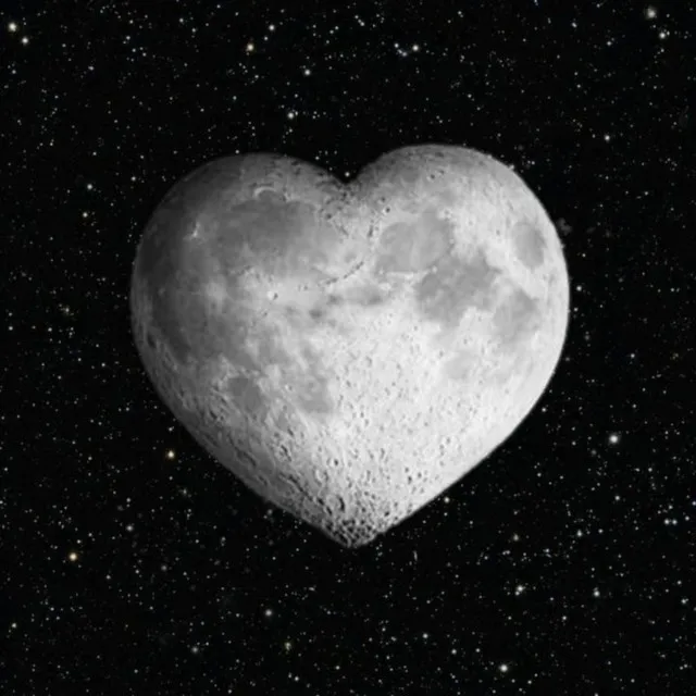 PODŁOGA • Cały album • Wszystkie utwory • Wykonawca