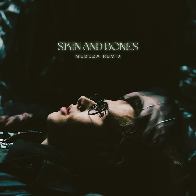 Skin and Bones (MEDUZA REMIX) • Cały album • Wszystkie utwory • Wykonawca