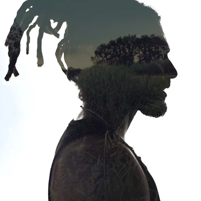 Zapach lasu • Cały album • Wszystkie utwory • Wykonawca