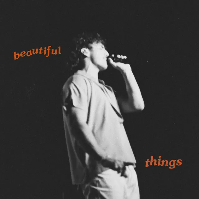 Beautiful Things • Cały album • Wszystkie utwory • Wykonawca