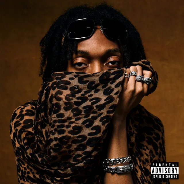 PLAN A • Cały album • Wszystkie utwory • Wykonawca